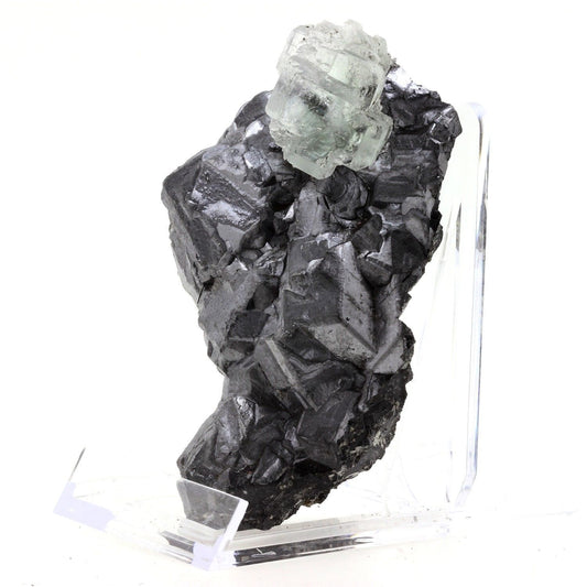 Fluorite + Galène. 3390.1 carats. En provenance de Naica Mine, Naica, Mun. de Saucillo, Chihuahua, Mexique