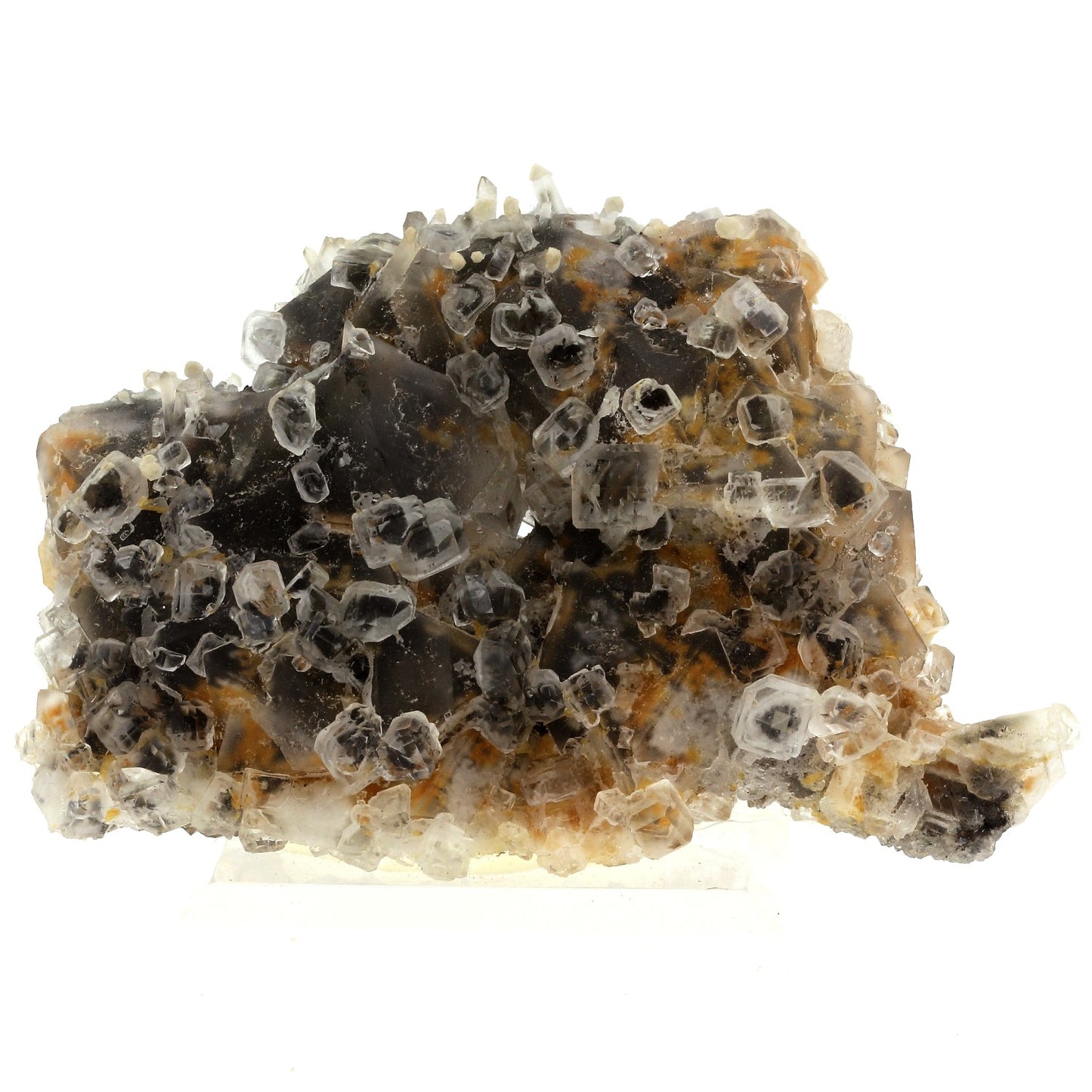 Fluorite + Quartz. 1995.0 carats. Nikolaevskiy Mine, Dal'negorsk, Russie