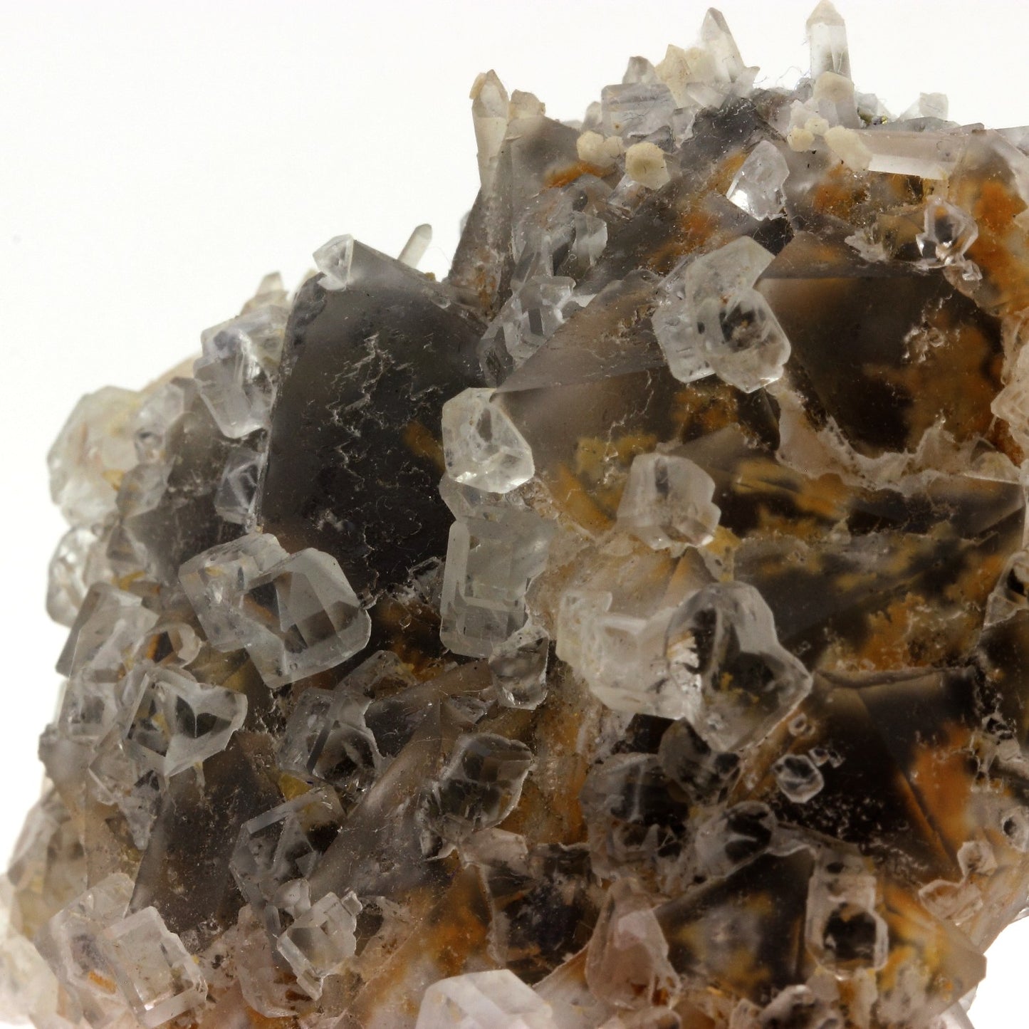 Fluorite + Quartz. 1995.0 carats. Nikolaevskiy Mine, Dal'negorsk, Russie