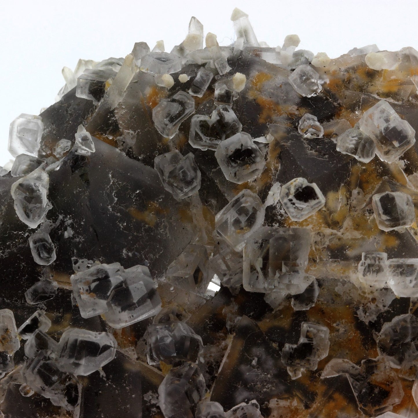 Fluorite + Quartz. 1995.0 carats. Nikolaevskiy Mine, Dal'negorsk, Russie