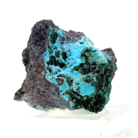 Chrysocolle + Malachite. 936.7 carats. Lupoto Mine, Katanga, Congo