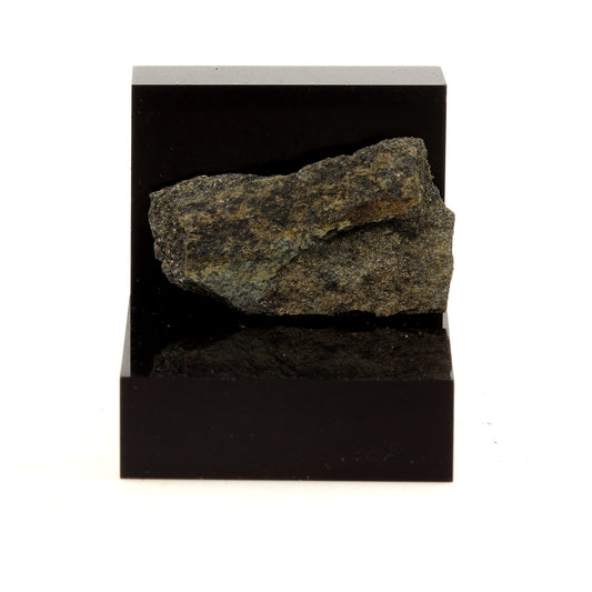 Black Shale. 15.50 carats. Lanark, Ontario, Canada