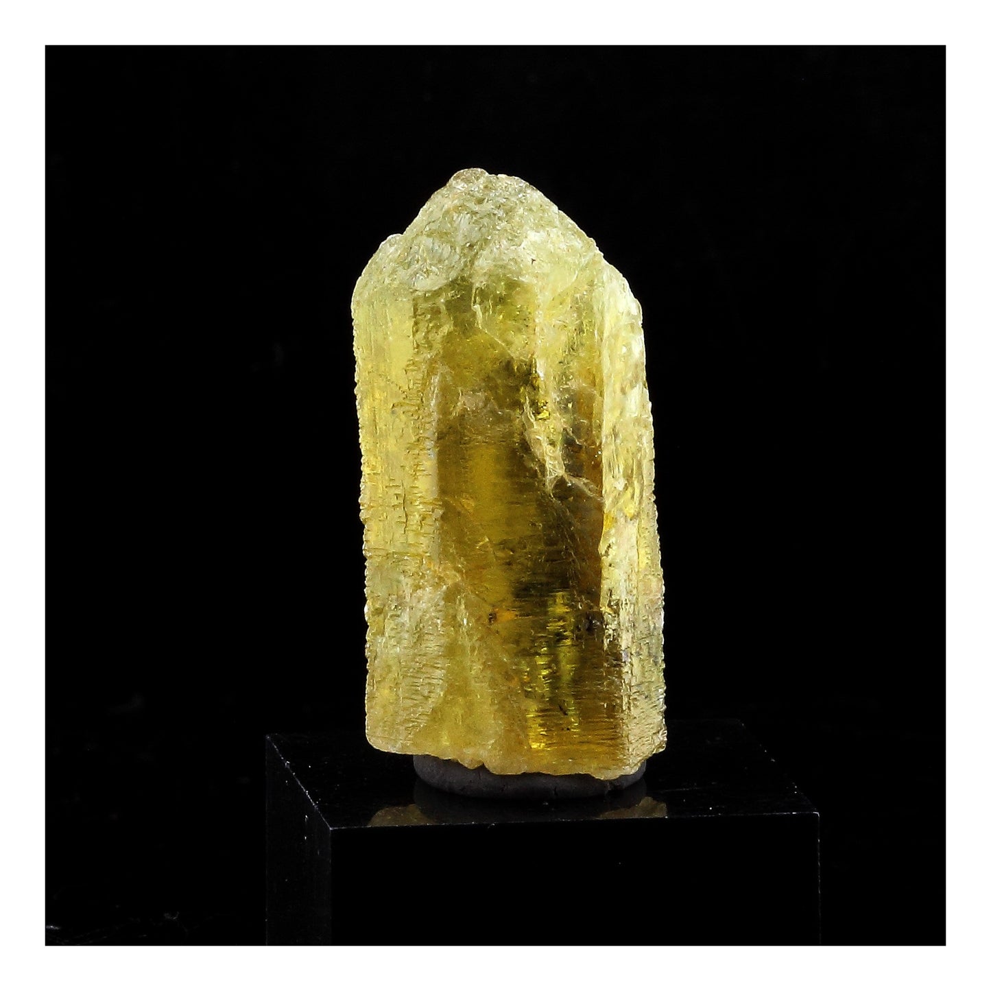 Héliodore Béryl. 28.2 carats. Zazafotsy, Madagascar