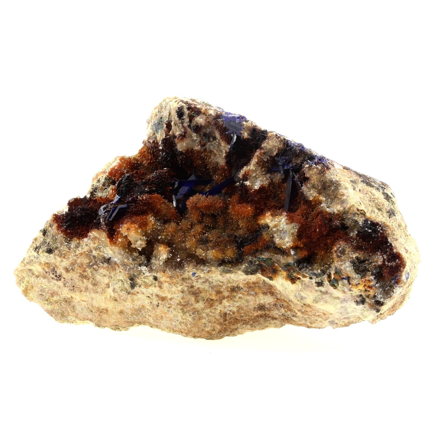 Azurite + Quartz. 1585.0 carats. Concepción del Oro, Zacatecas, Mexique