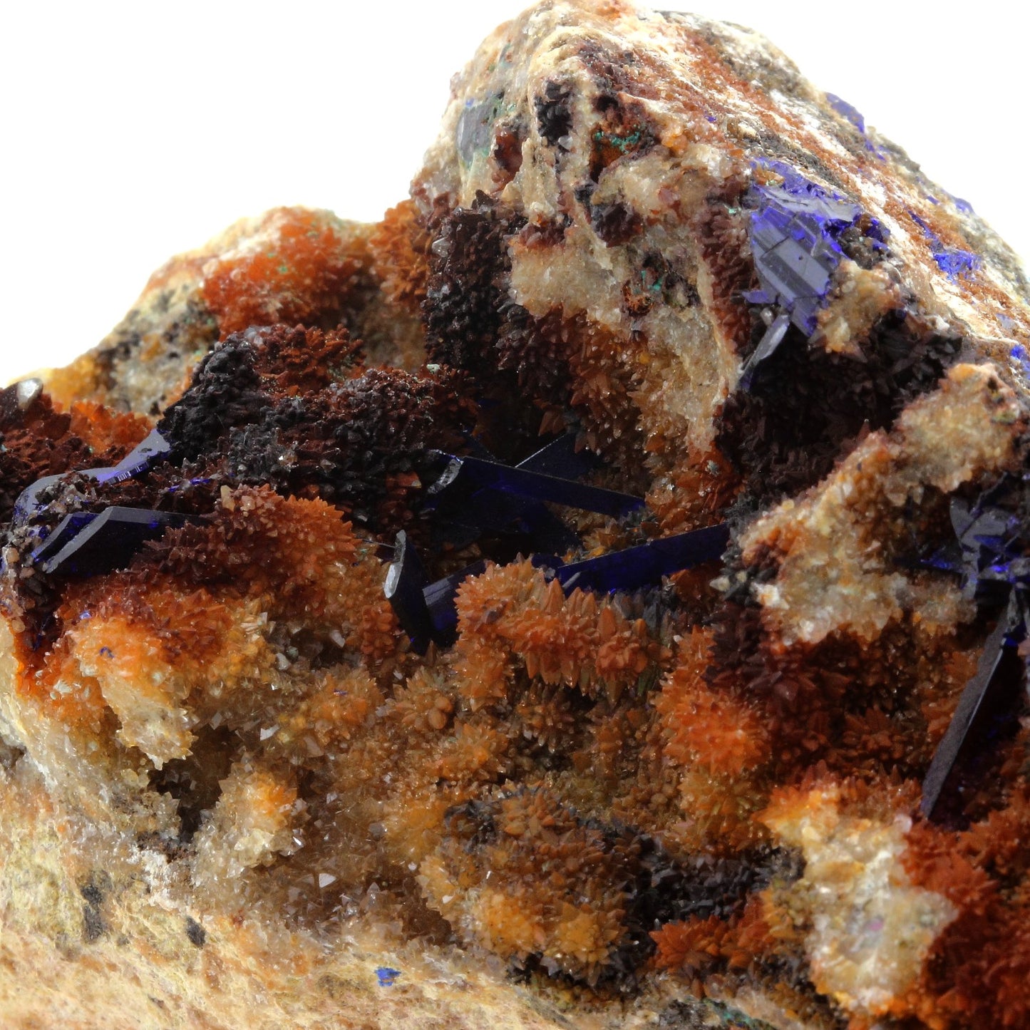 Azurite + Quartz. 1585.0 carats. Concepción del Oro, Zacatecas, Mexique