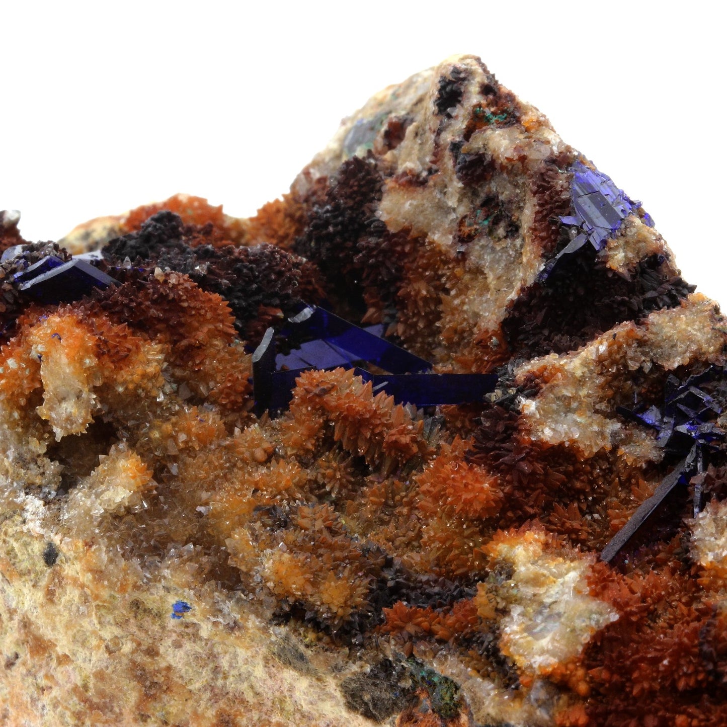 Azurite + Quartz. 1585.0 carats. Concepción del Oro, Zacatecas, Mexique