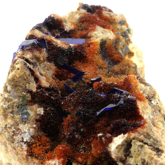 Azurite + Quartz. 1585.0 carats. Concepción del Oro, Zacatecas, Mexique