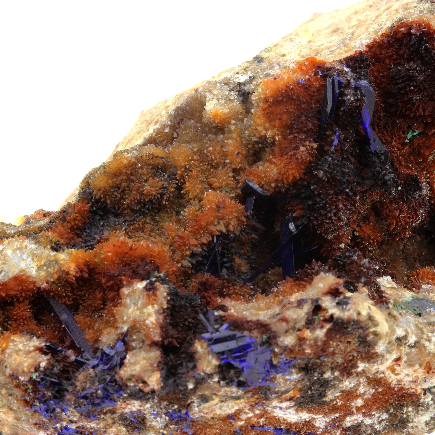 Azurite + Quartz. 1585.0 carats. Concepción del Oro, Zacatecas, Mexique