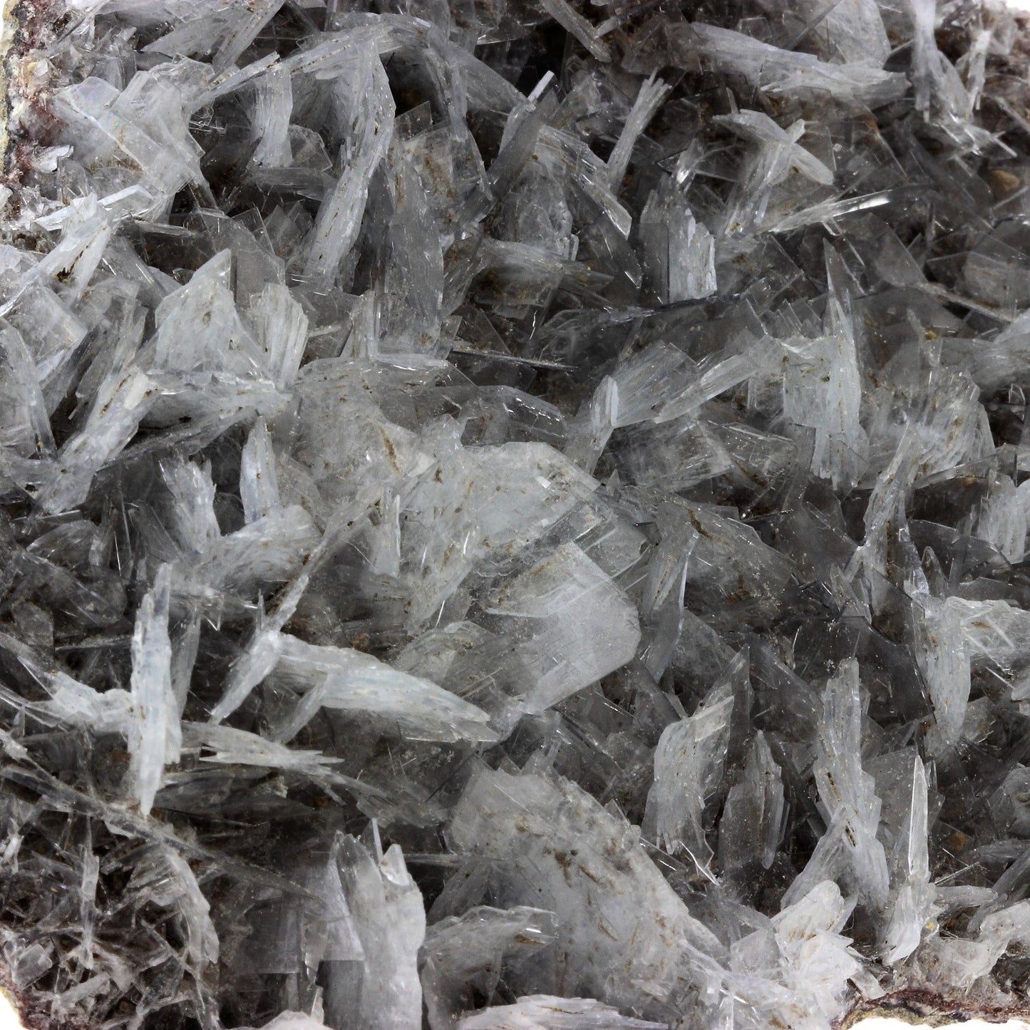 Baryte bleue. 1325.0 carats. Cavnic Mine, Maramureș Co., Roumanie