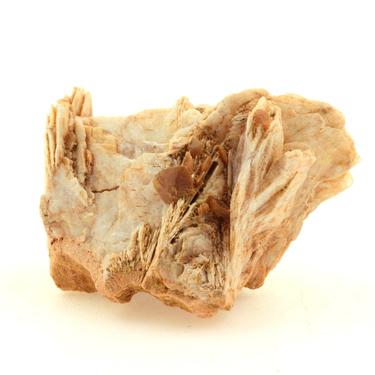 Baryte + Fluorite. 347.7 carats. Lantignié, France