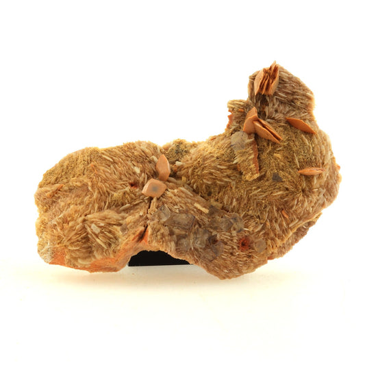 Wulfenite + Baryte + Fluorite. 143.8 carats. Lantignié, France