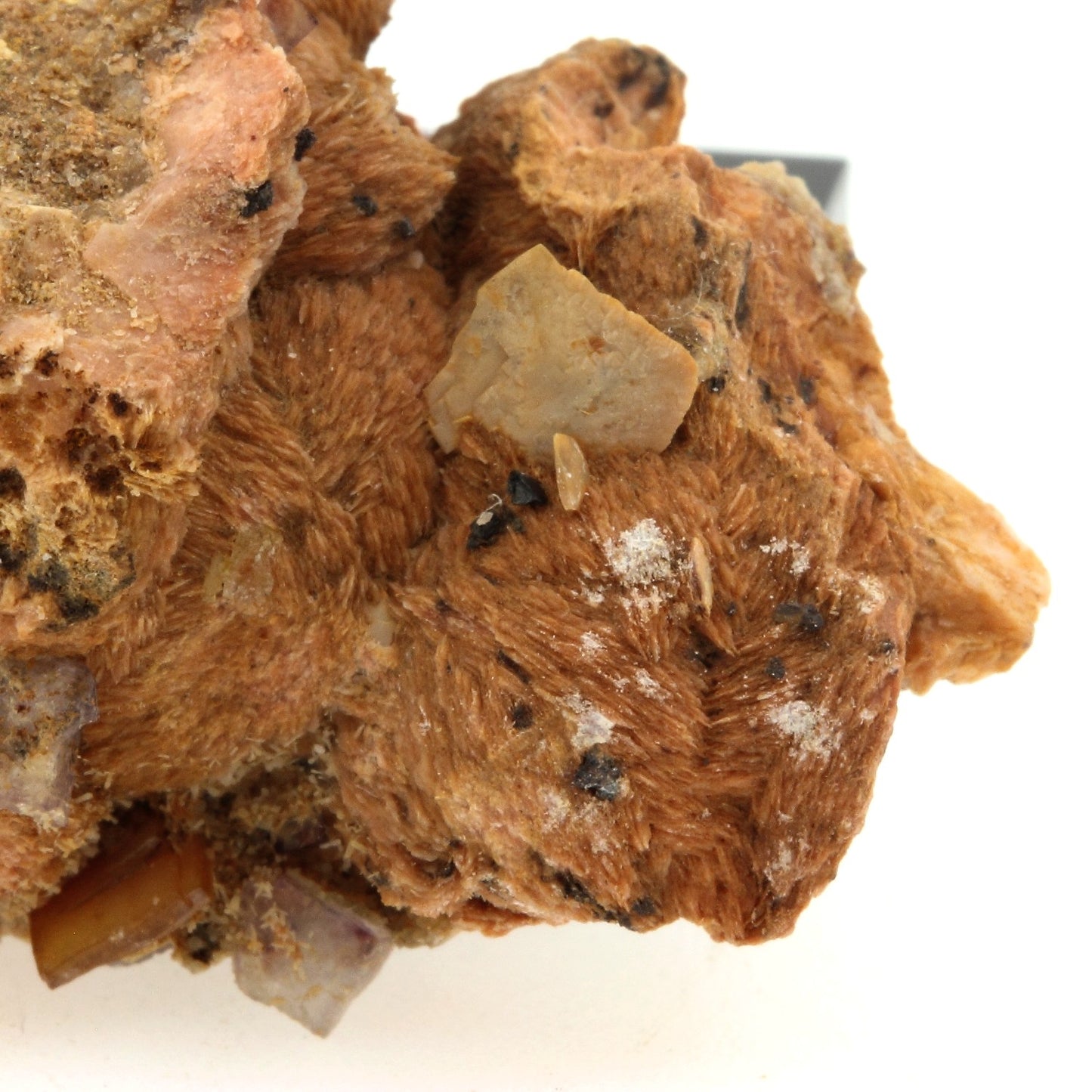 Wulfenite + Baryte. 103.7 carats. Lantignié, France