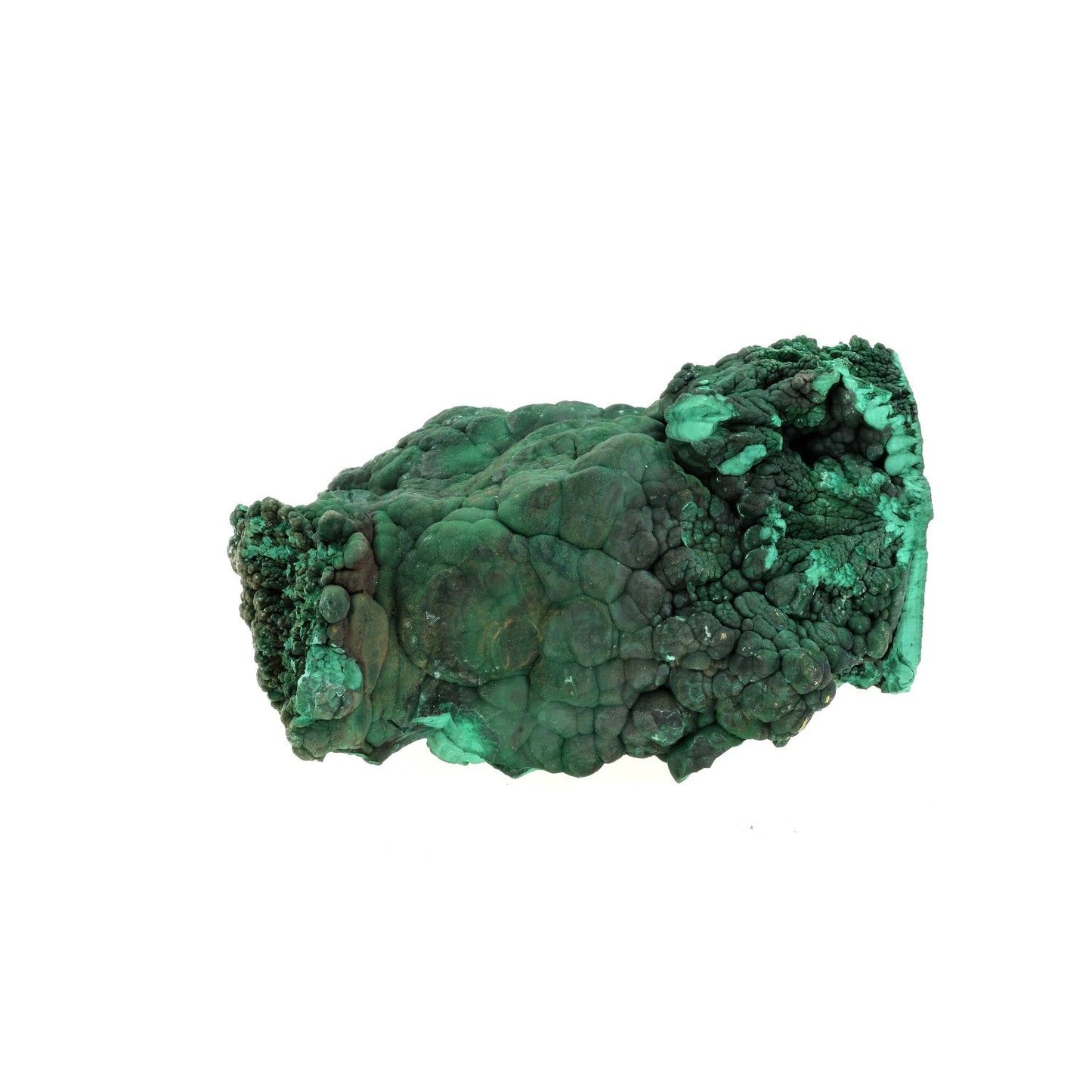 Malachite Stalactite. 7410.0 carats (1,4 KG). Katanga, Congo