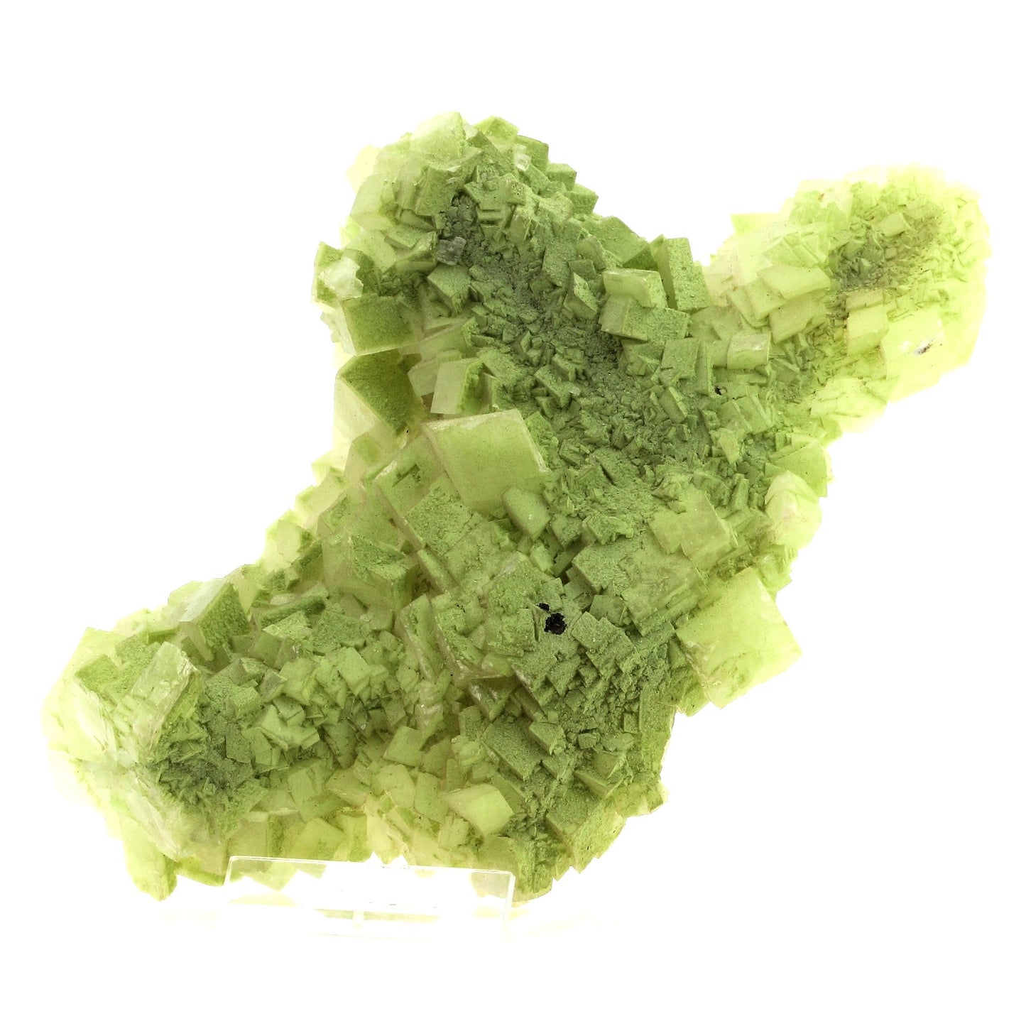 Duftite sur Dolomite. 3090.0 carats. Tsumeb, Oshikoto Region, Namibie