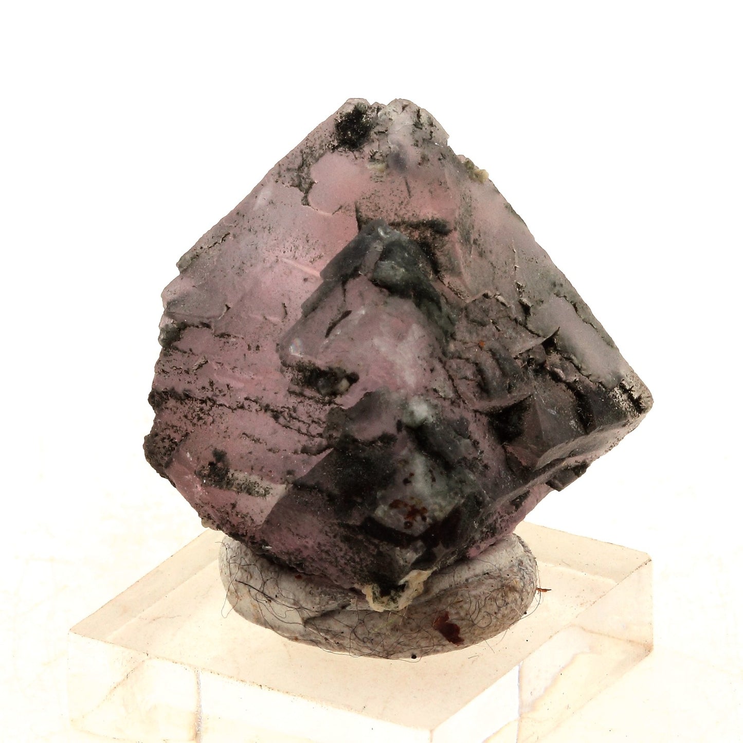 Fluorite rose. 136.2 carats. Massif du Mont-Blanc, France
