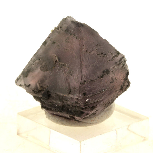 Fluorite rose. 136.2 carats. Massif du Mont-Blanc, France