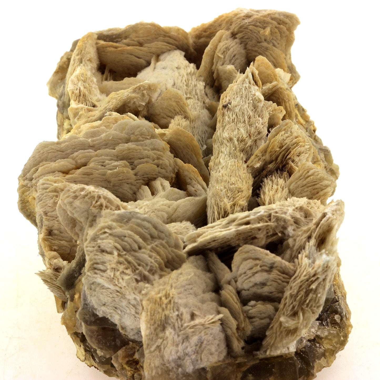 Baryte. 1345.0 carats. Saint-Laurent-du-Pape, Ardèche, France