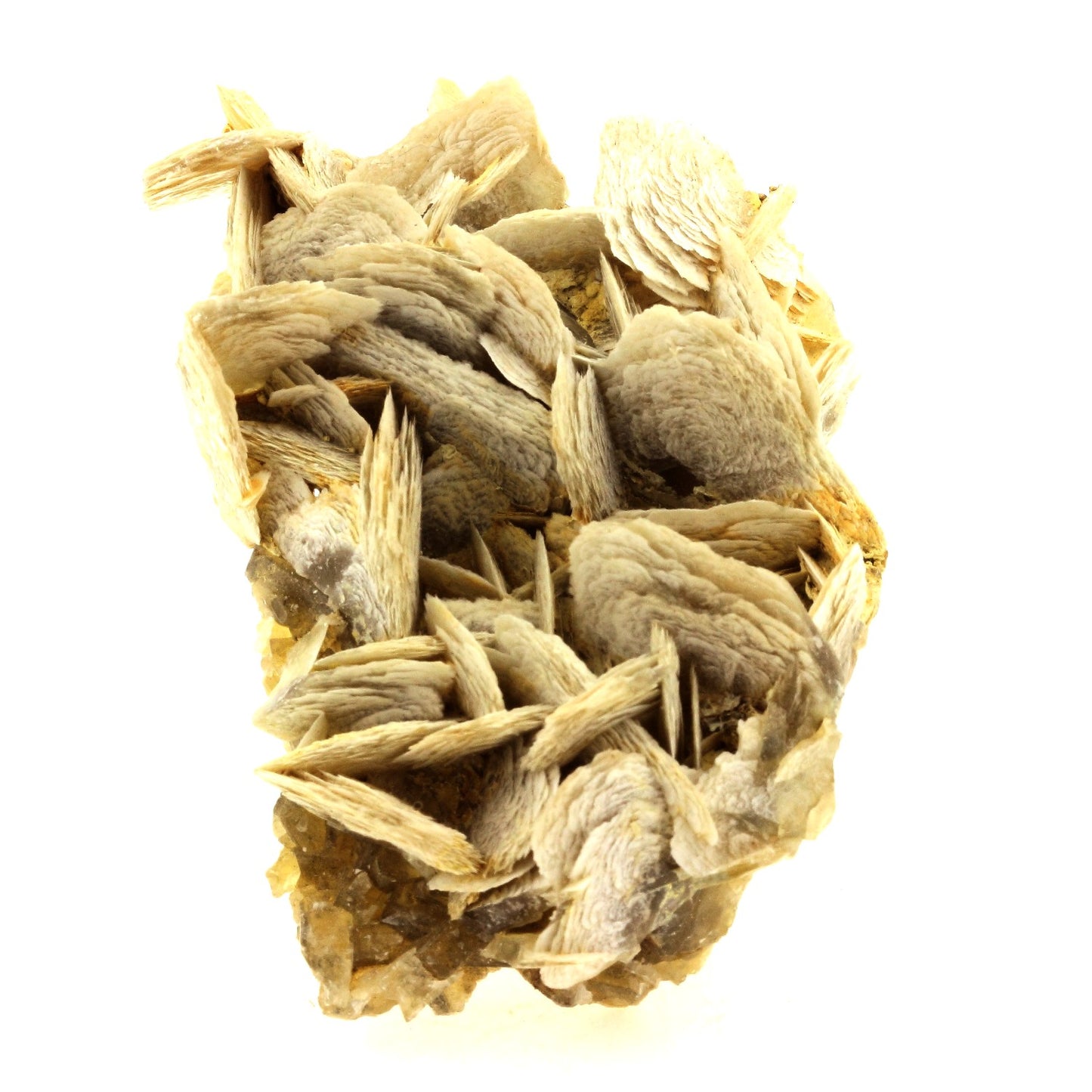 Baryte. 741.0 carats. Saint-Laurent-du-Pape, Ardèche, France