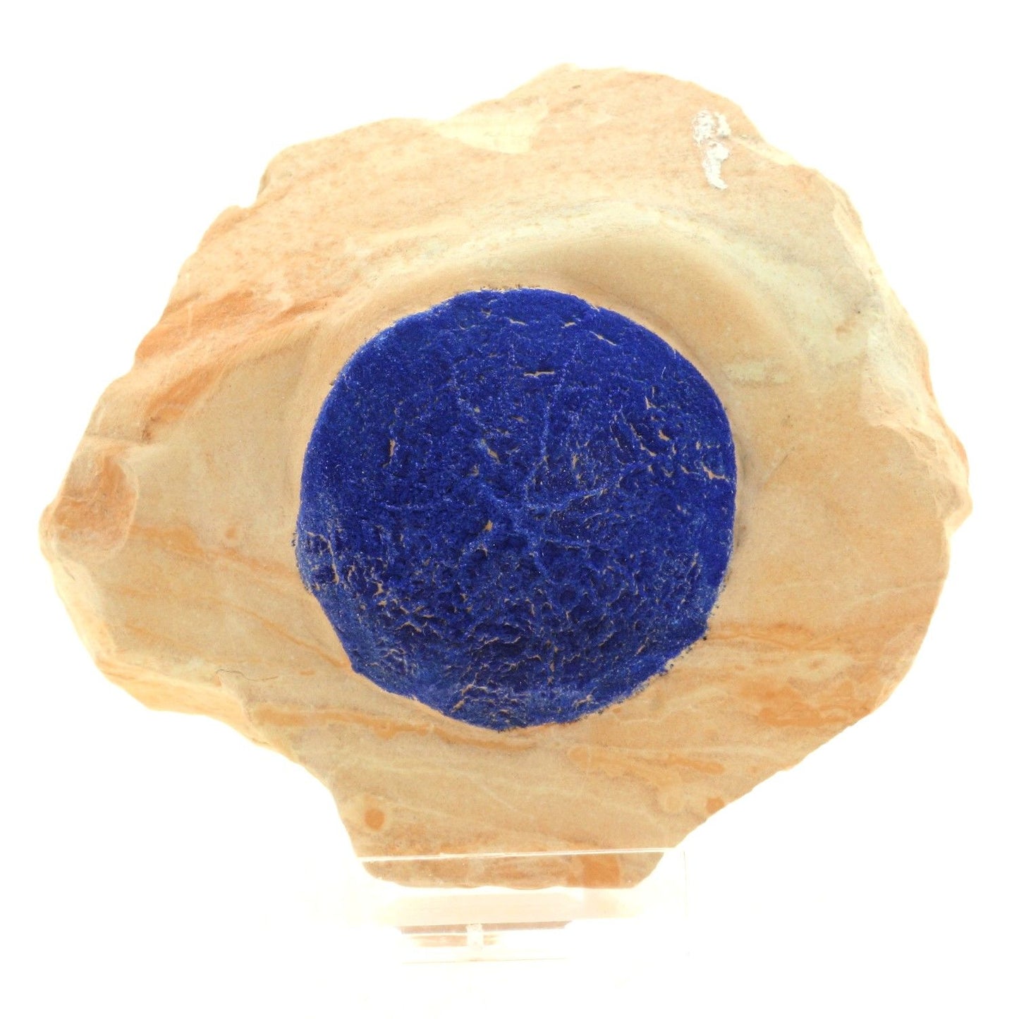 Azurite. 1250.1 carats. Malbunka Copper Mine, Areyonga, Australie