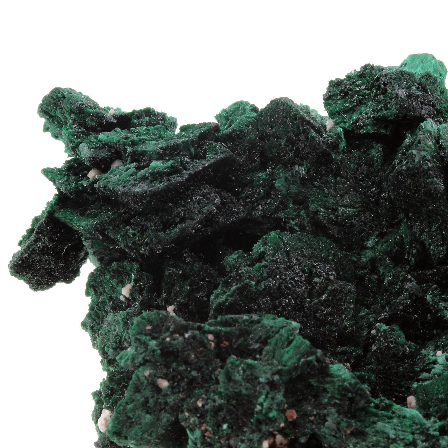 Malachite après Azurite. 460.0 carats. Milpillas Mine, Sonora, Mexique