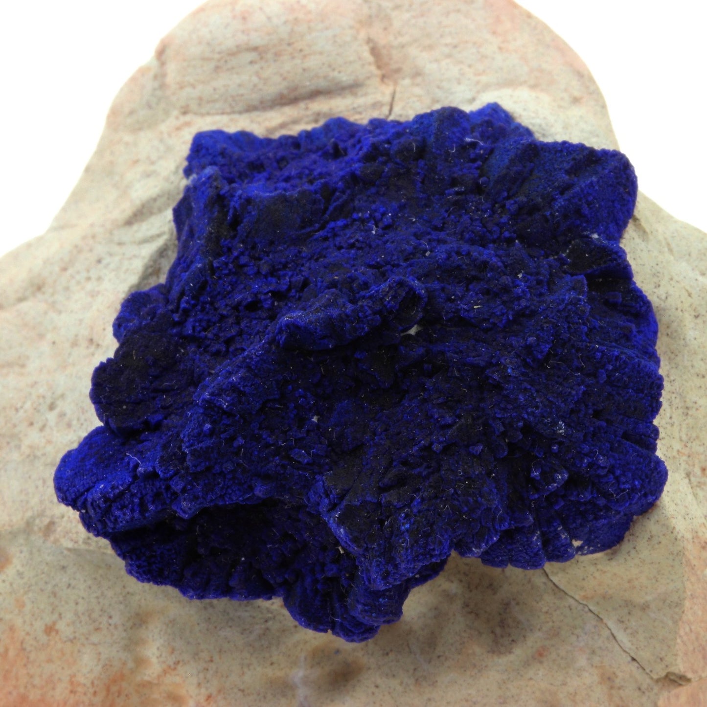 Azurite. 530.3 carats. Malbunka Copper Mine, Areyonga, Australie