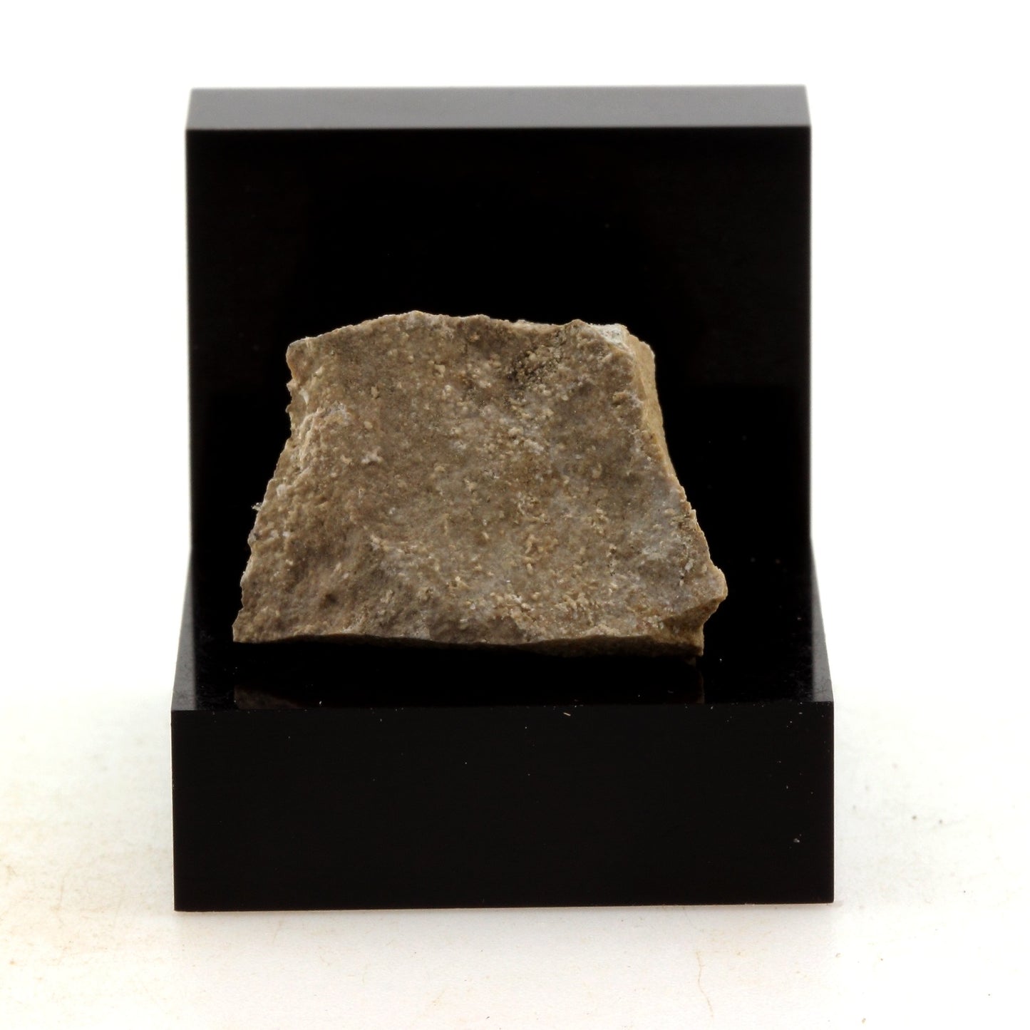 Argillite. 18.77 carats. Marmora, Ontario, Canada