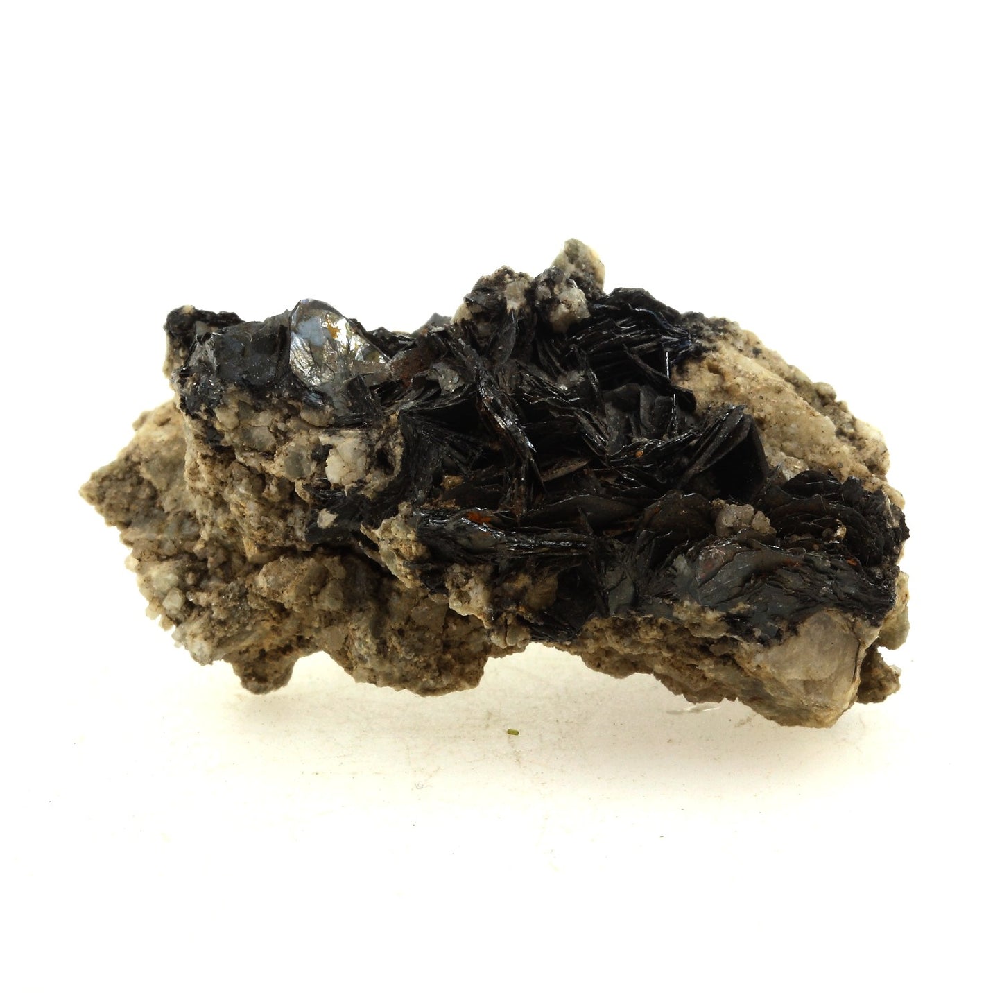 Hematite + Fluorite grise. 191.1 carats. Massif du Mont-Blanc, France