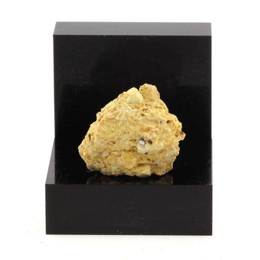 Tripolite. 11.6 carats. Italie