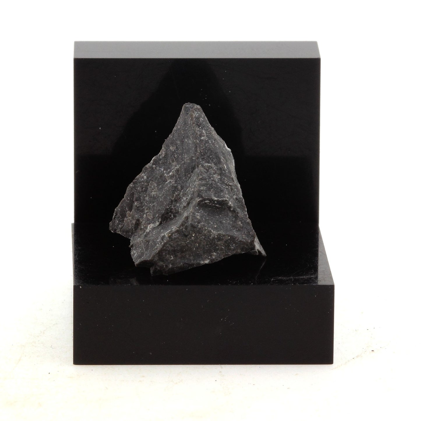 Fossiliferous Limestone, 20.3 carats, Ottawa, Ontario, Canada