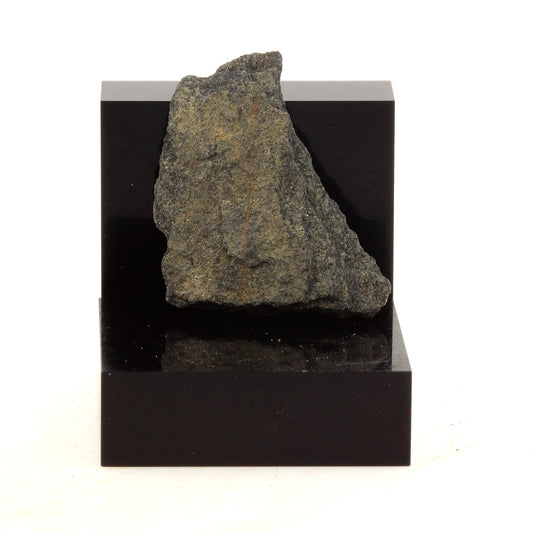 Black Shale. 16.8 carats. Lanark, Ontario, Canada