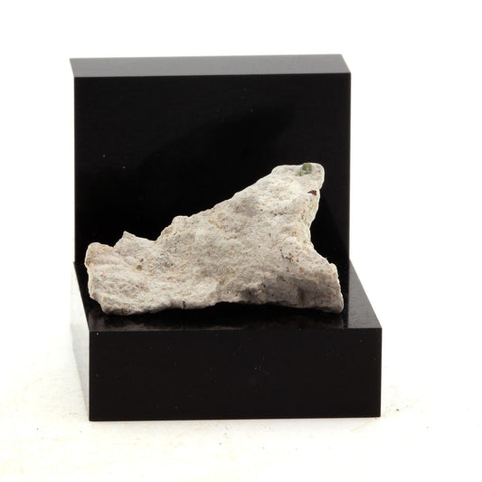 Corail. 9.6 carats. Key West, Floride, USA