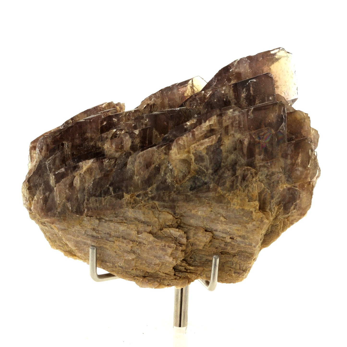 Axinite. 413.6 carats. Chamrousse, Belledonne, Isère, France