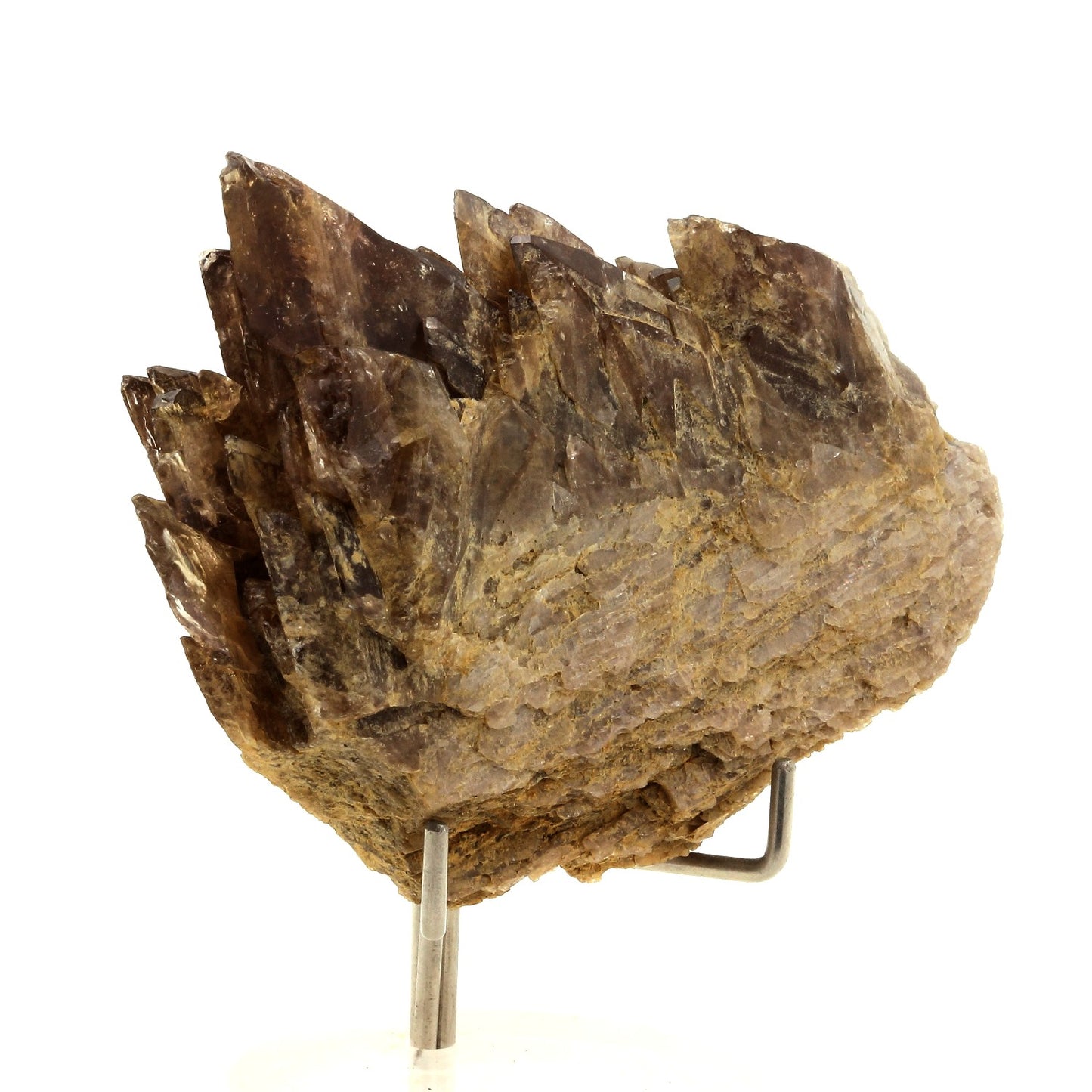Axinite. 413.6 carats. Chamrousse, Belledonne, Isère, France
