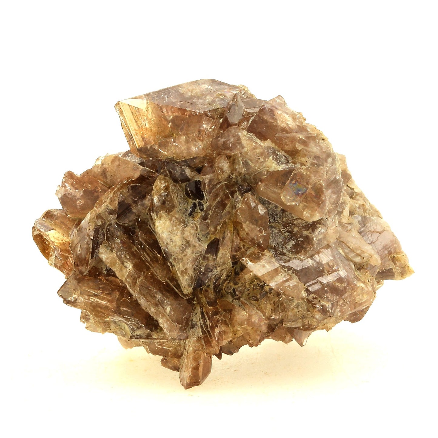 Axinite. 171.7 carats. Chamrousse, Belledonne, Isère, France