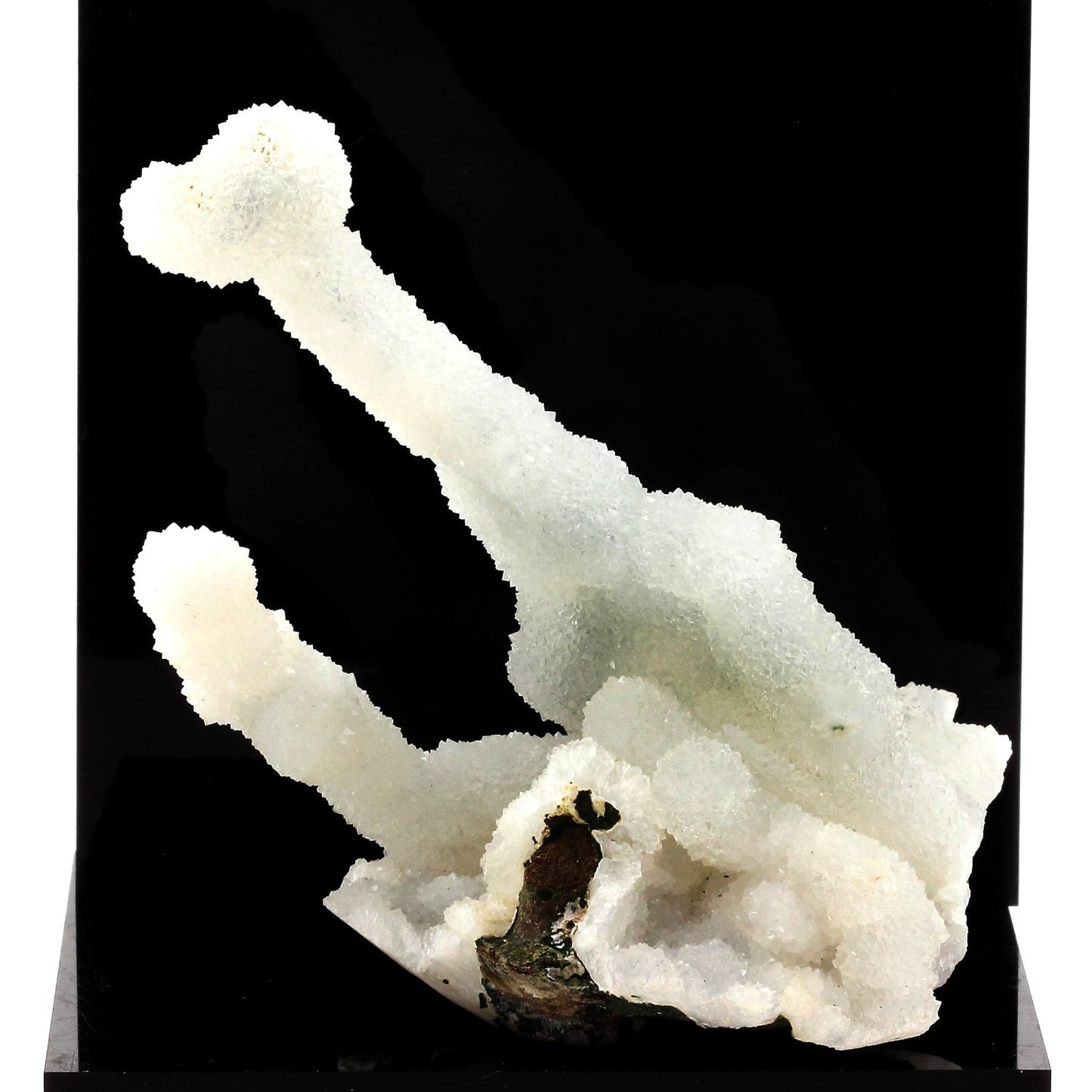 Calcédoine, 1005.0 carats, Jalgaon District, Maharashtra, Inde