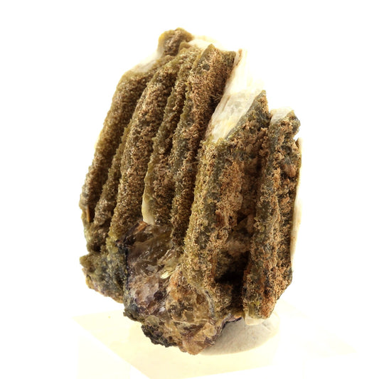 Wulfenite, Mimetite, Baryte, Fluorite. 334.6 carats. Lantignié, France