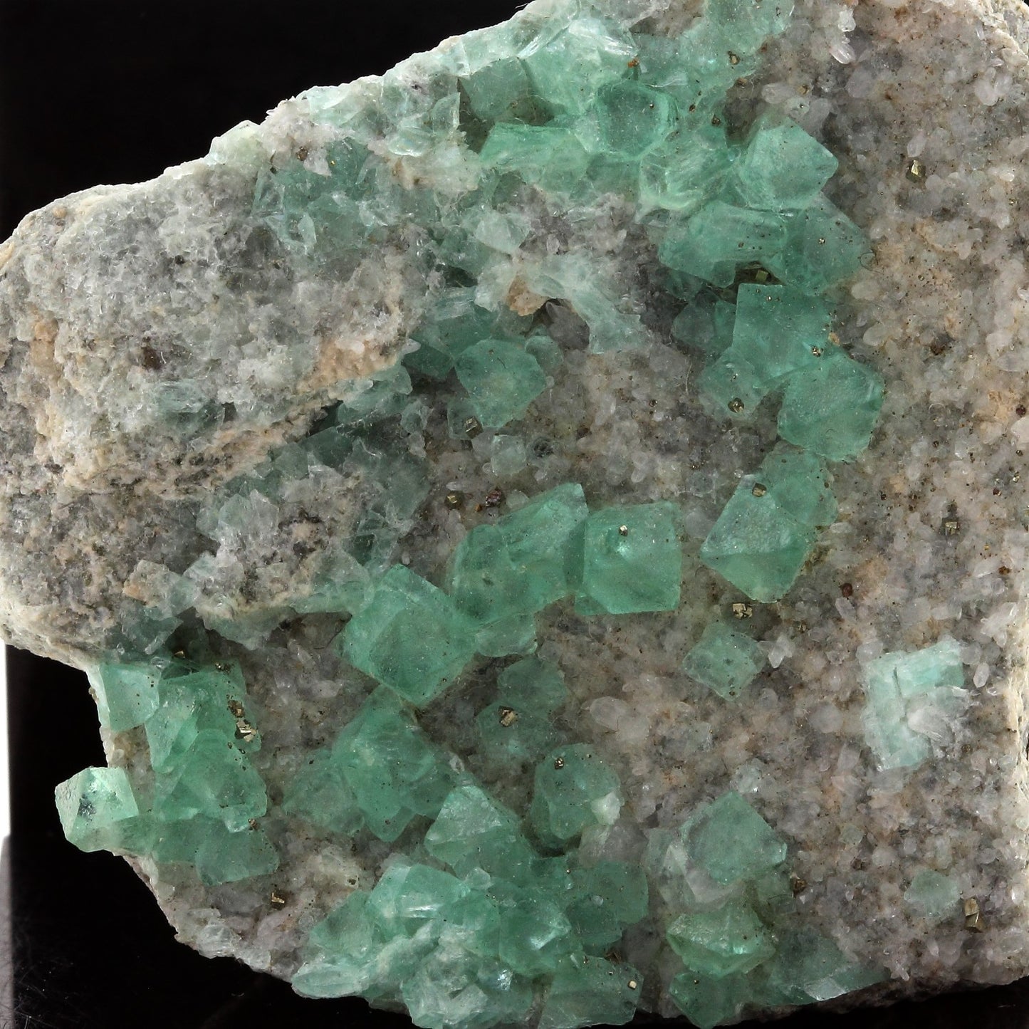Fluorite. 343.3 carats. El Papiol, Barcelona, Espagne