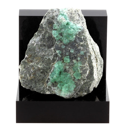 Fluorite + Pyrite. 1605.0 carats. El Papiol, Barcelona, Espagne