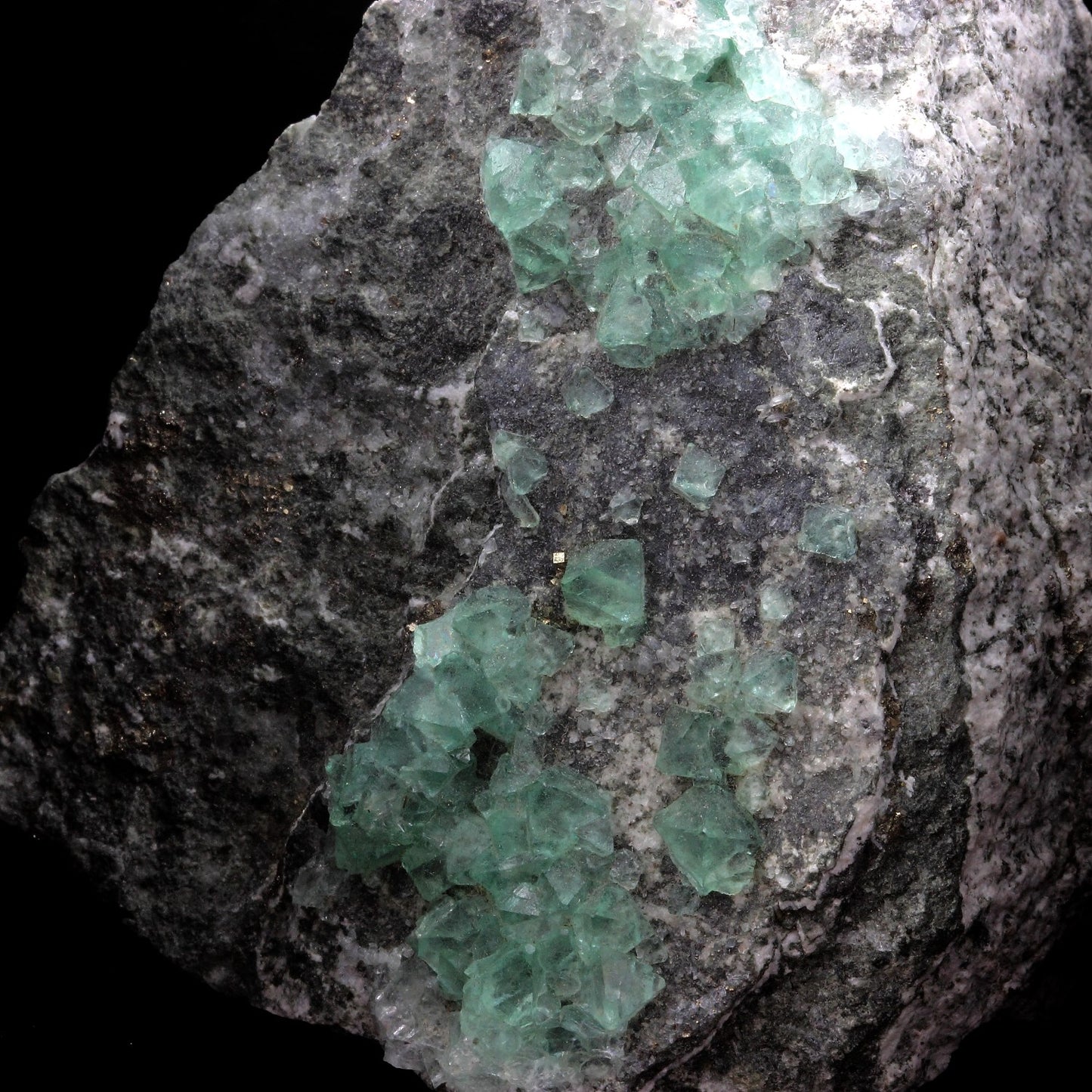 Fluorite + Pyrite. 1605.0 carats. El Papiol, Barcelona, Espagne