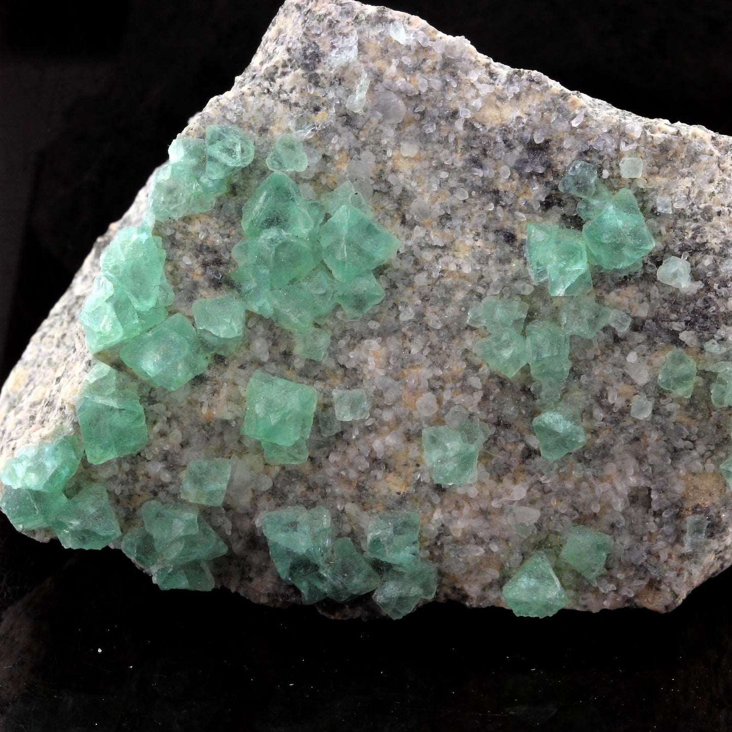 Fluorite. 1260.0 carats. El Papiol, Barcelona, Espagne