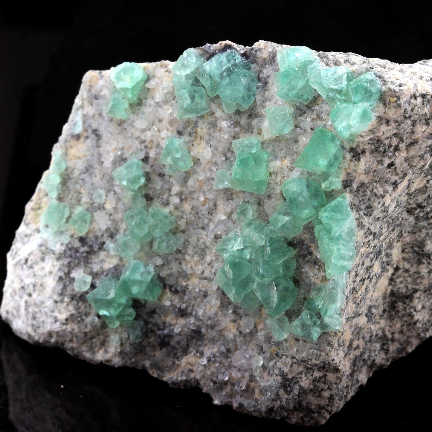 Fluorite. 1260.0 carats. El Papiol, Barcelona, Espagne