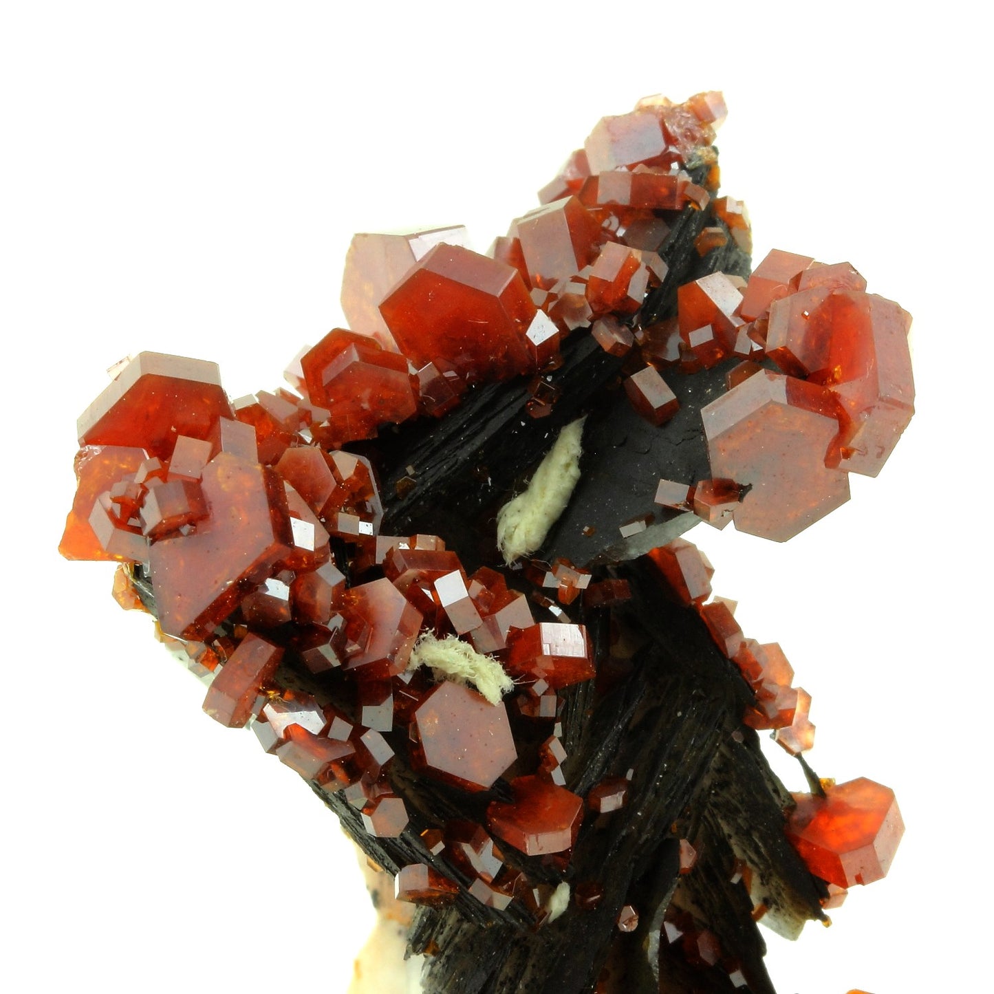 Vanadinite + Baryte. 3129.0 carats. Mibladen Mining District, Midelt, Maroc