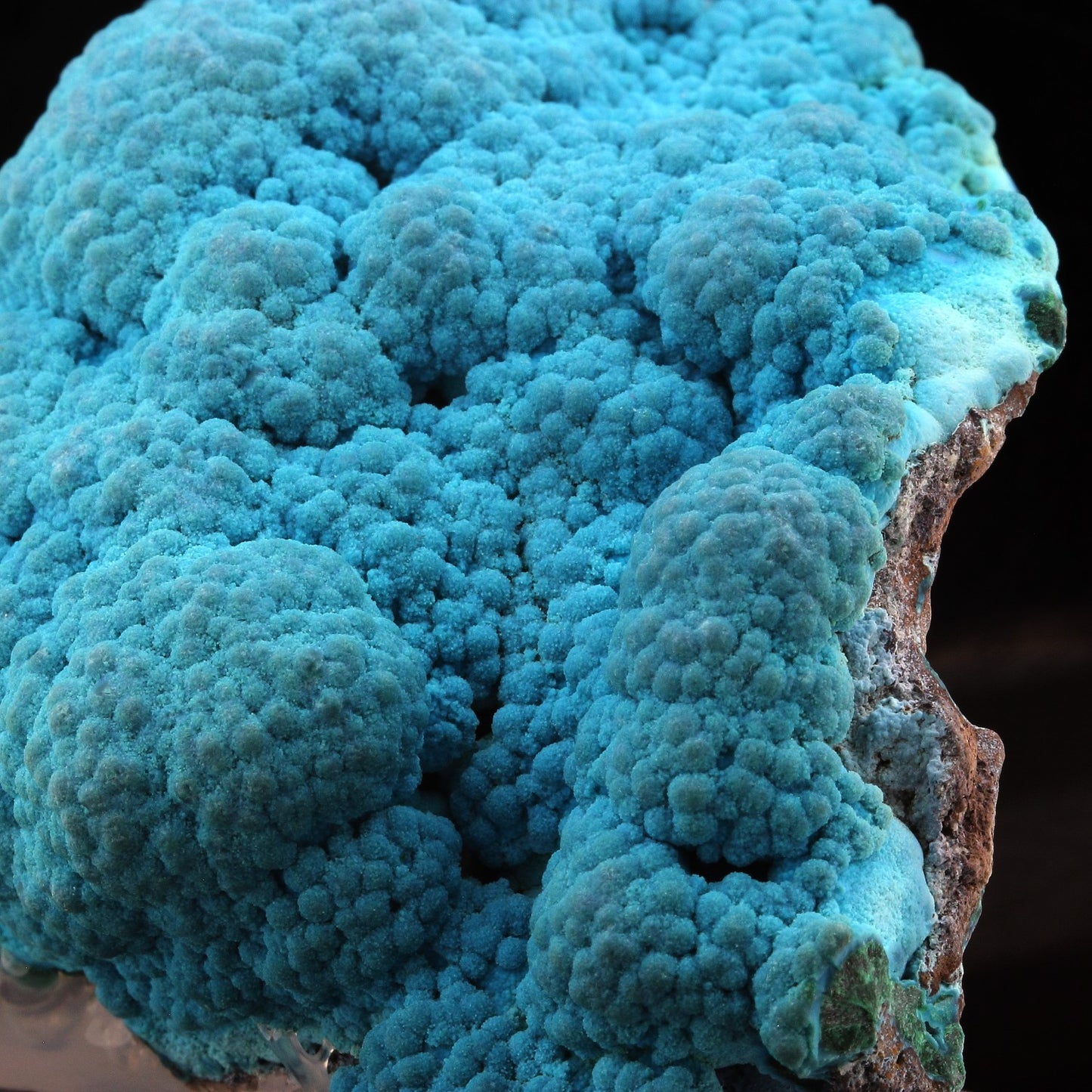 Chrysocolle. 945.0 carats. Lupoto Mine, Katanga, Congo