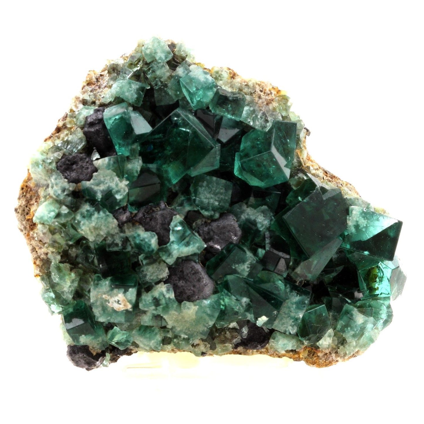 Fluorite + Galène. 1934.5 carats. Rogerley Mine, Frosterley, Co. Durham, Royaume-Uni