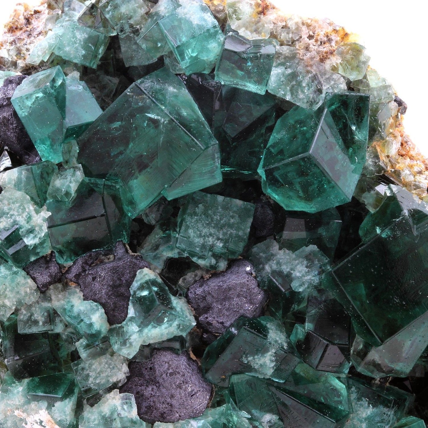 Fluorite + Galène. 1934.5 carats. Rogerley Mine, Frosterley, Co. Durham, Royaume-Uni