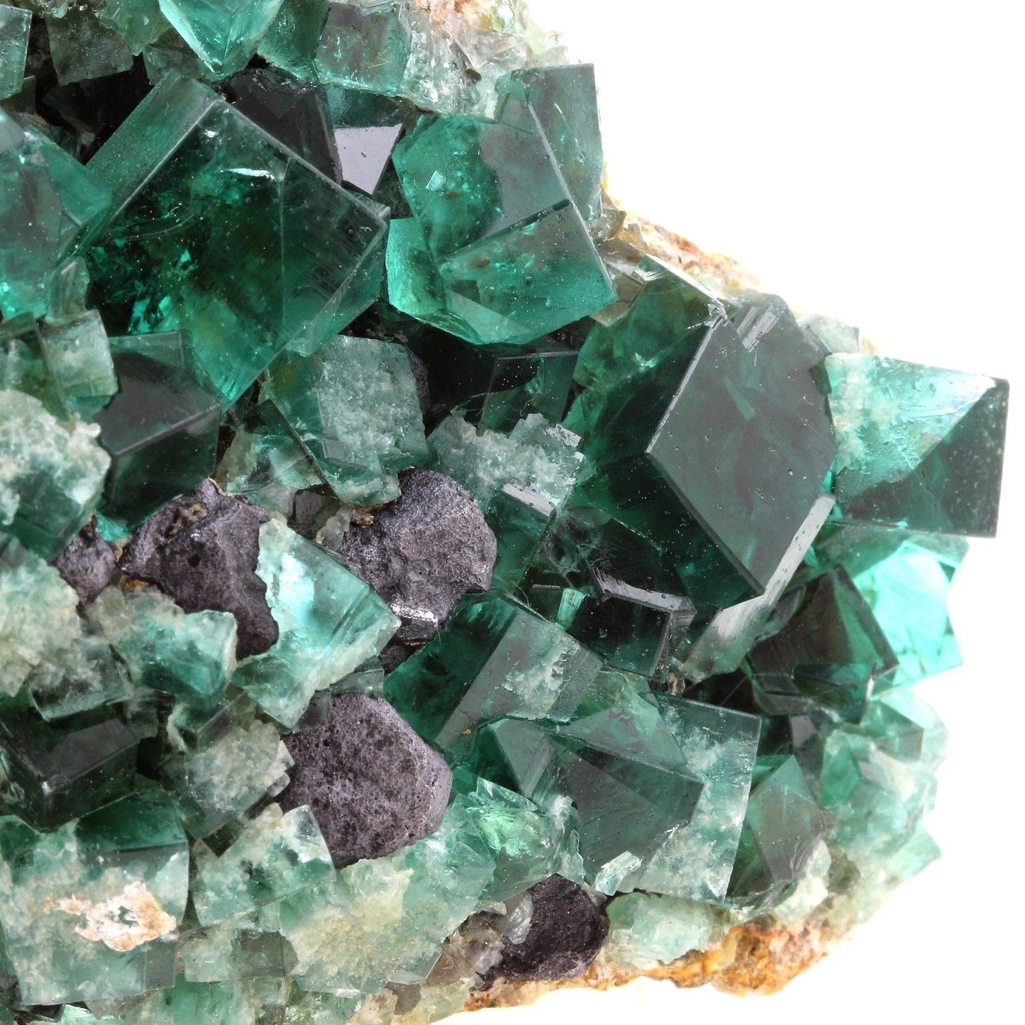 Fluorite + Galène. 1934.5 carats. Rogerley Mine, Frosterley, Co. Durham, Royaume-Uni