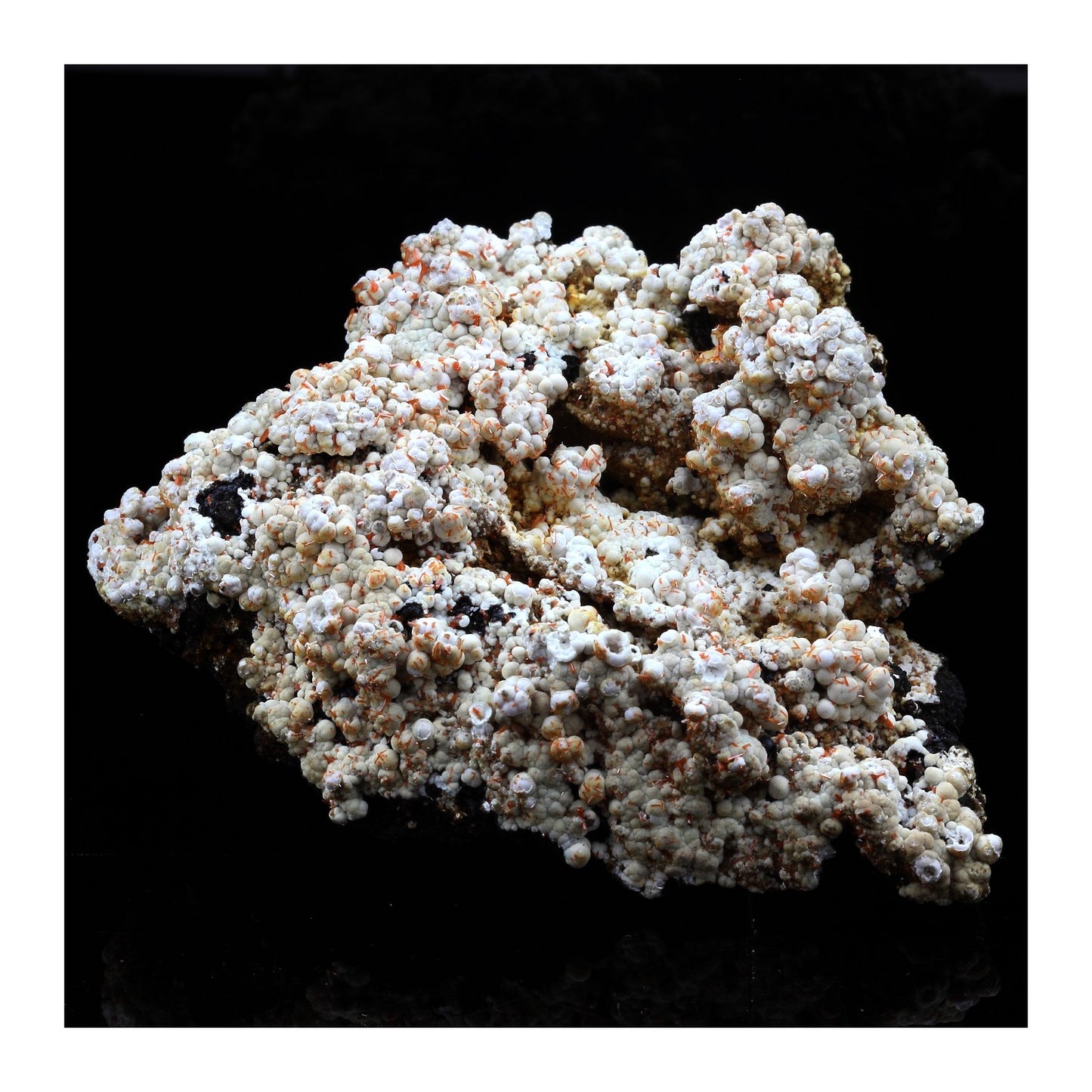 Dundasite, Crocoite. 386.5 carats. Kapi Mine, Tasmania, Australie