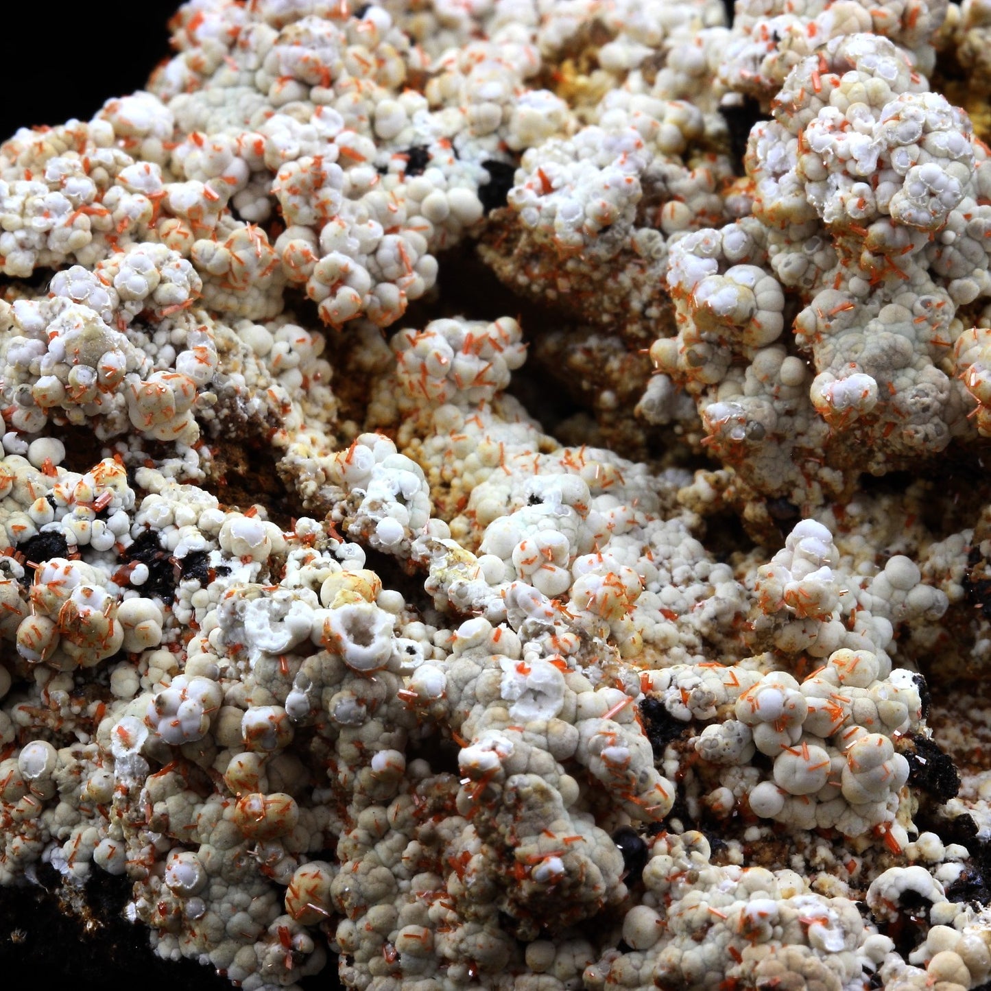 Dundasite, Crocoite. 386.5 carats. Kapi Mine, Tasmania, Australie