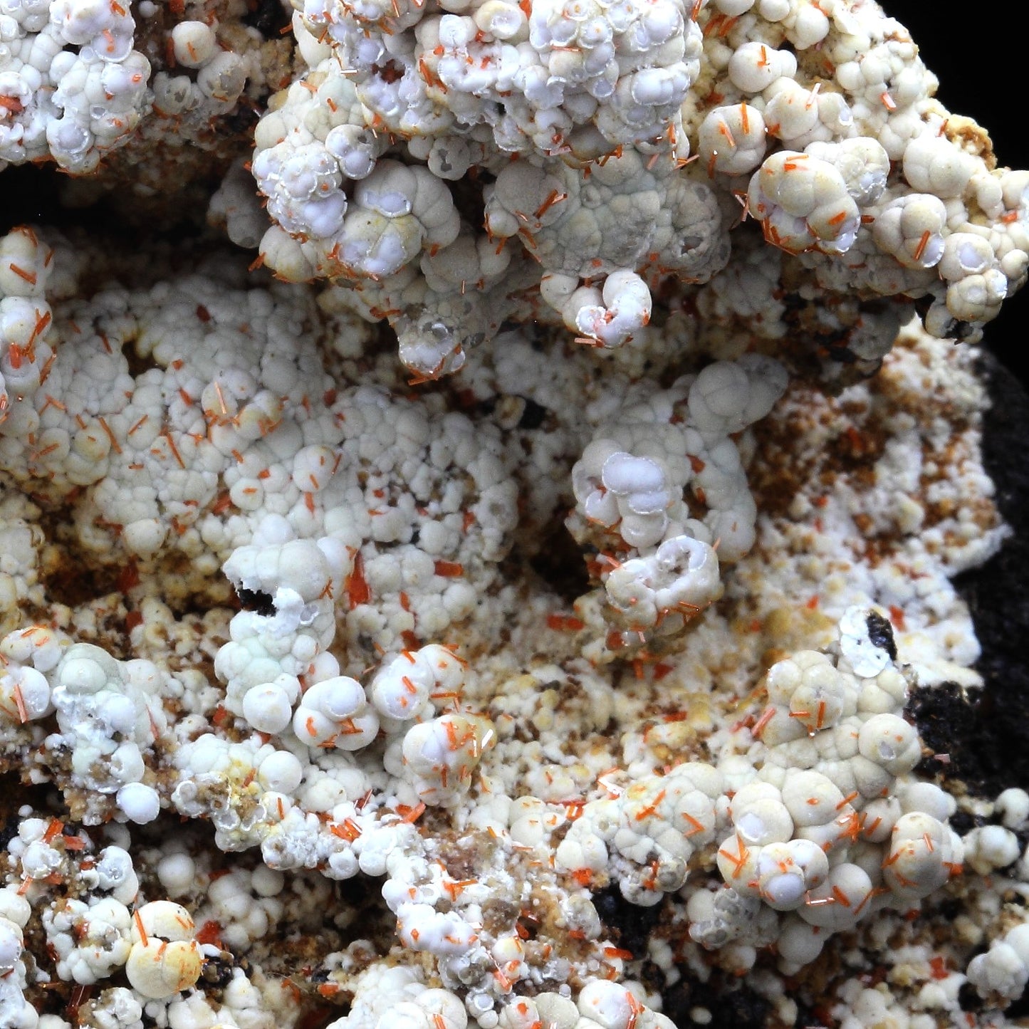 Dundasite, Crocoite. 386.5 carats. Kapi Mine, Tasmania, Australie