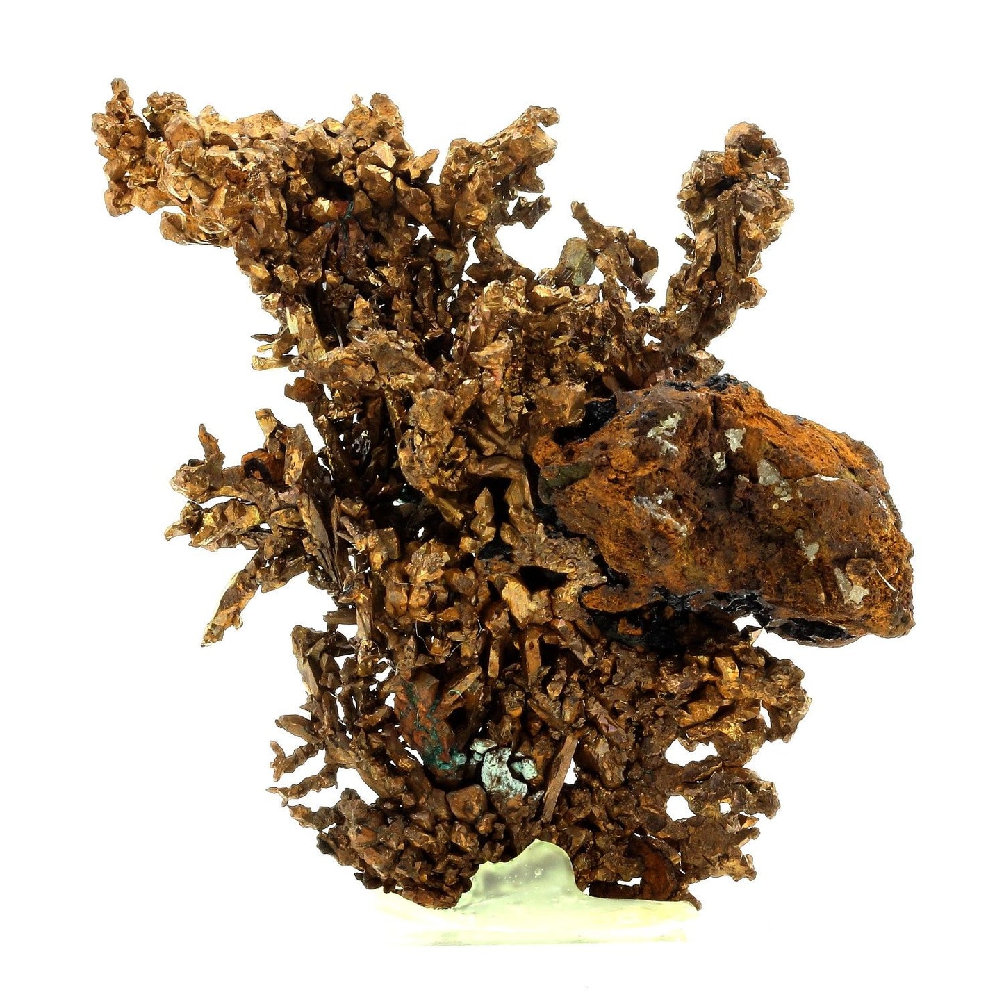 Cuivre natif. 659.5 carats. Rubtsovskoe, Altai Krai, Russie